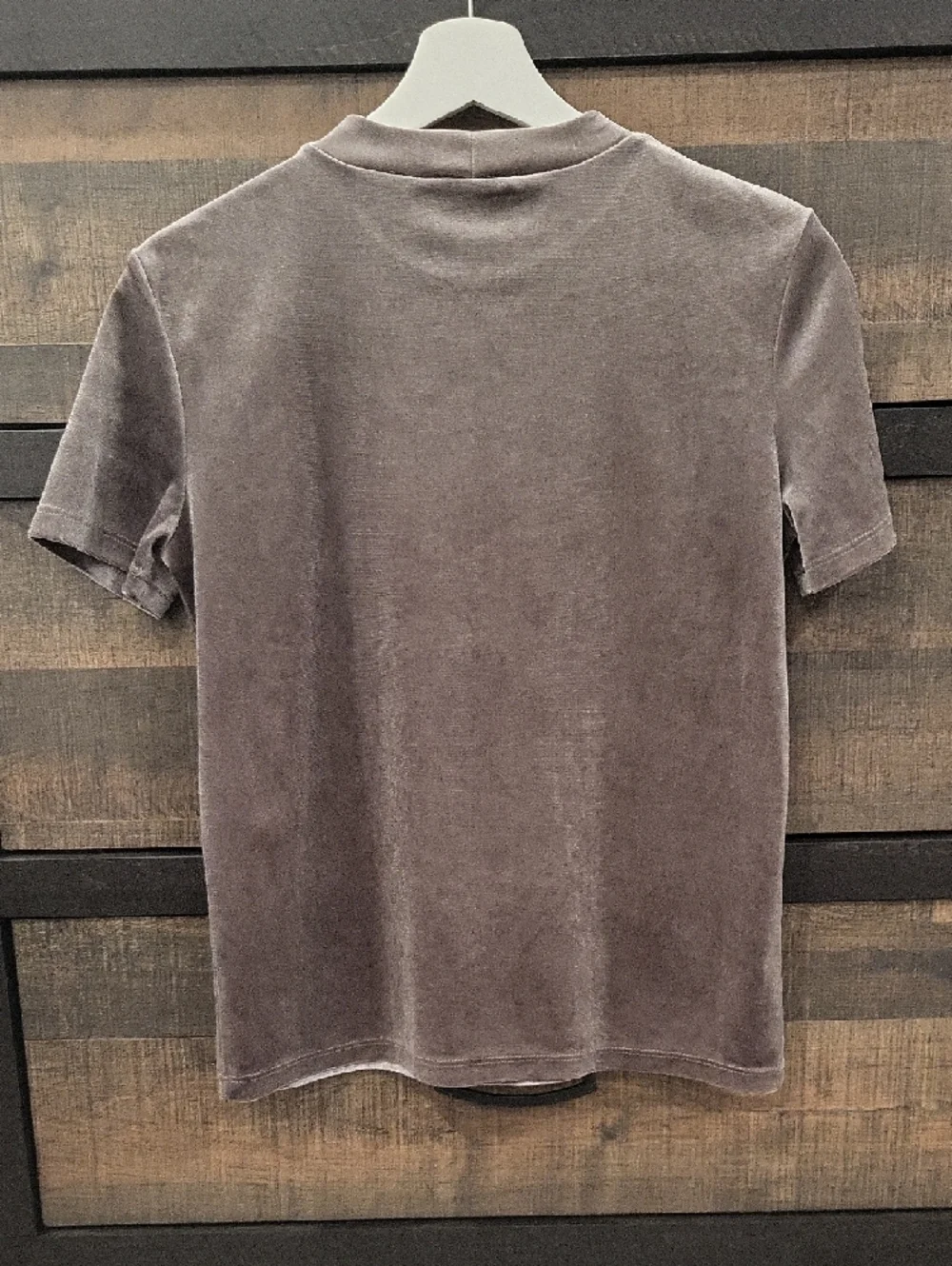 Zara Short Sleeve Velvet Tee in Taupe - Picture 4 of 4